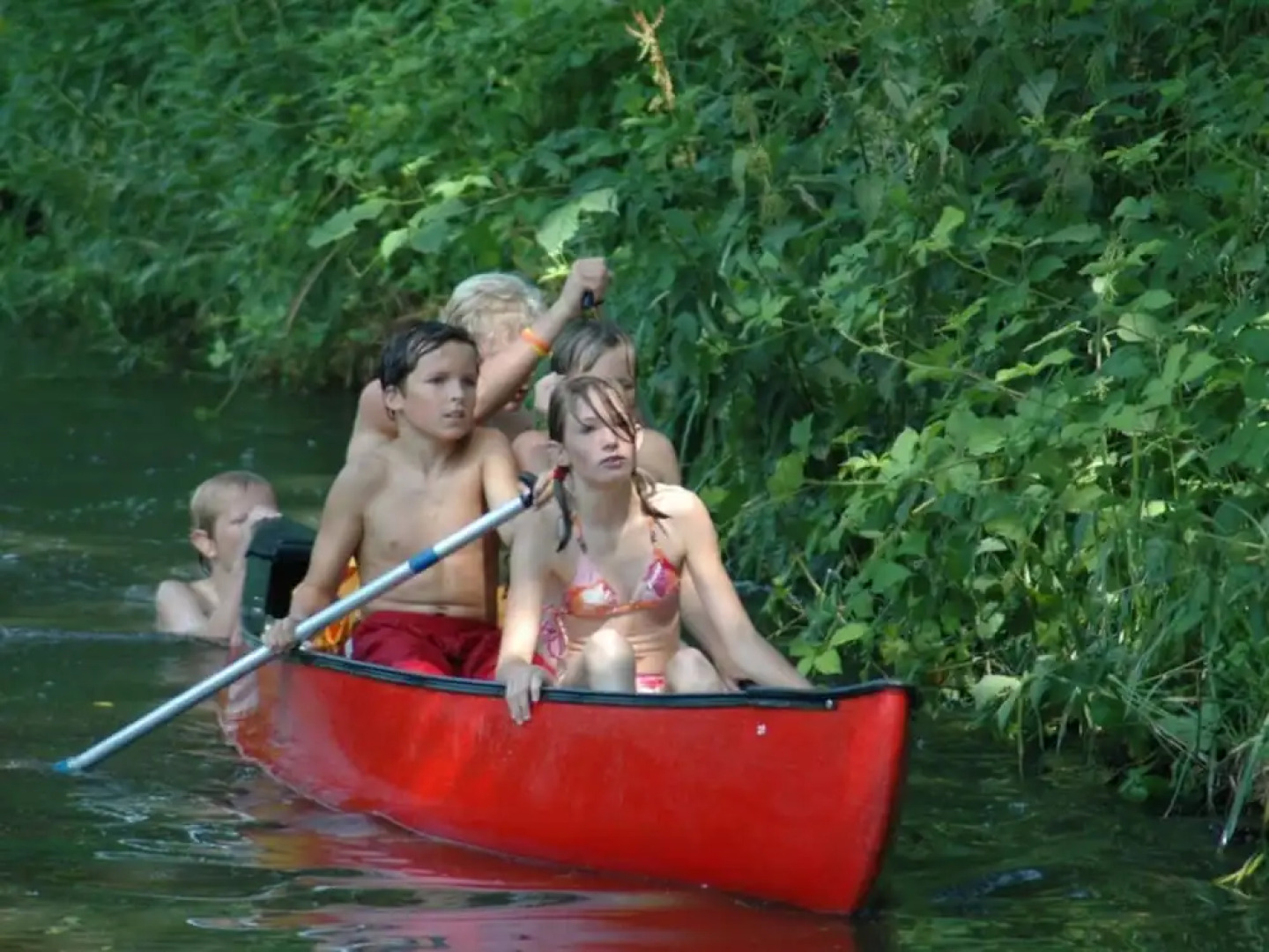 Comfortable Chalet on the Edge of the Forest