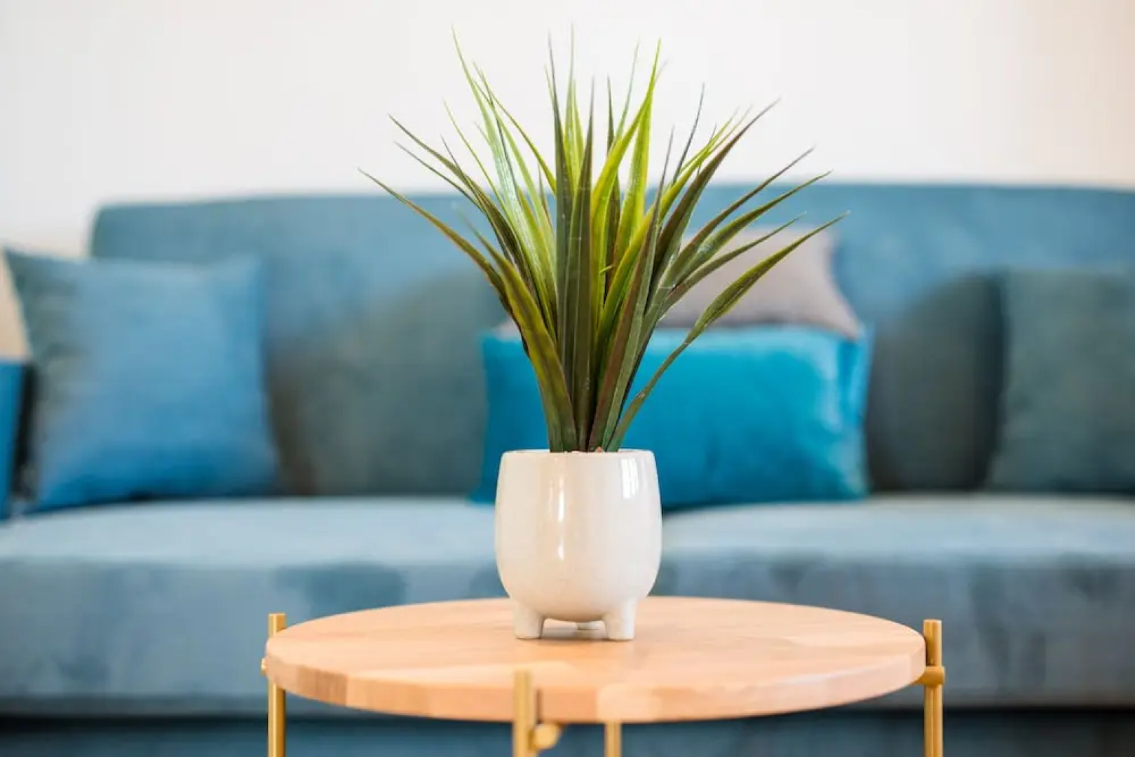 Villa Luna- Private Heated Pool