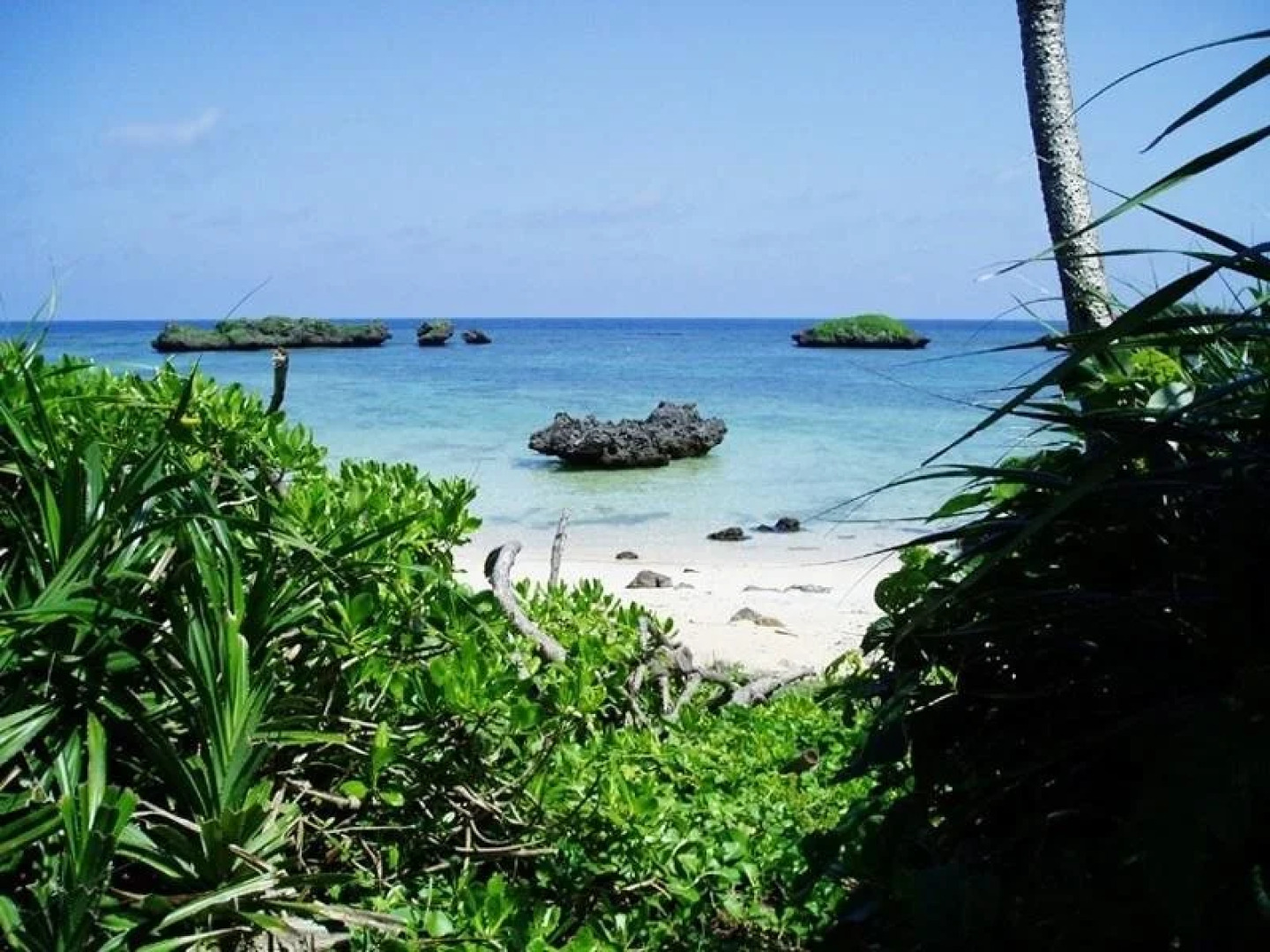 Hoshizuna Beachfront Coral Garden