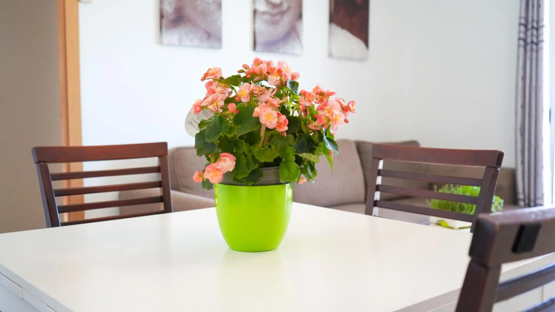 Apartament Lo Cor Del Delta