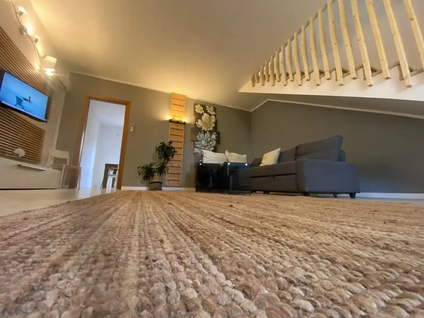 Prokite Alby Rondina