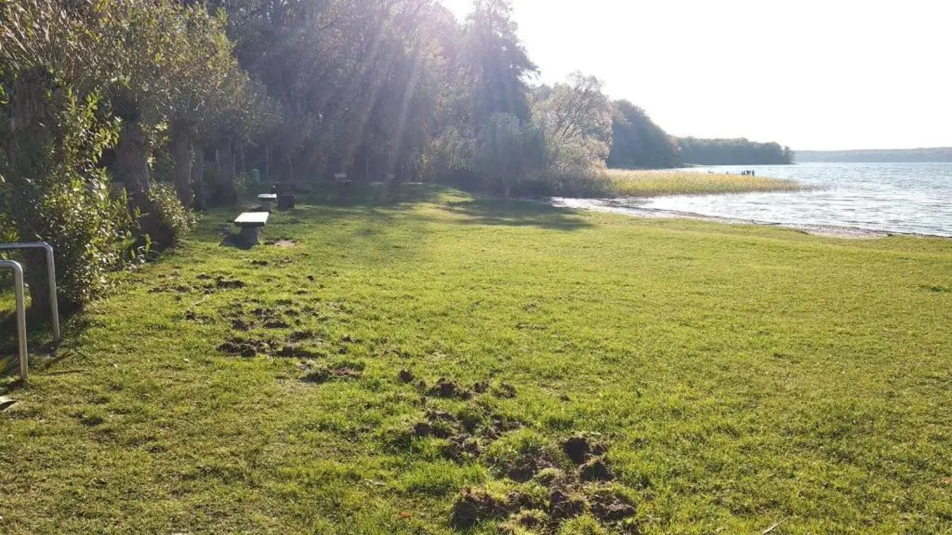 PONTUS Ferienwohnung FeWo2