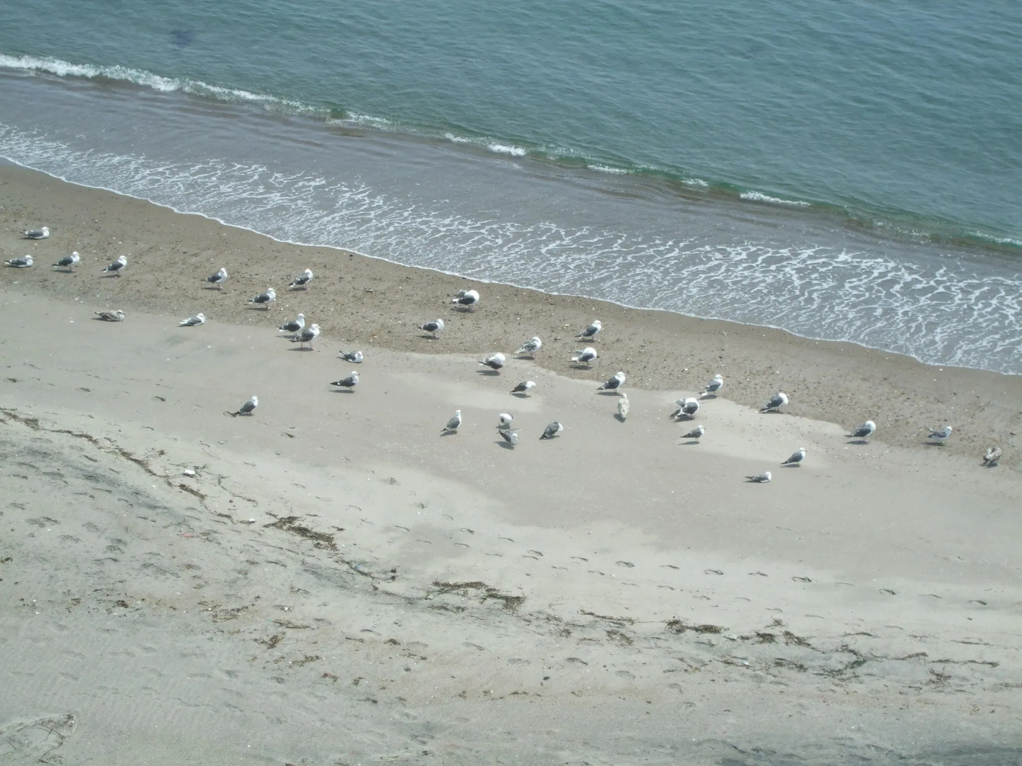 Seaside Hotel Kamome