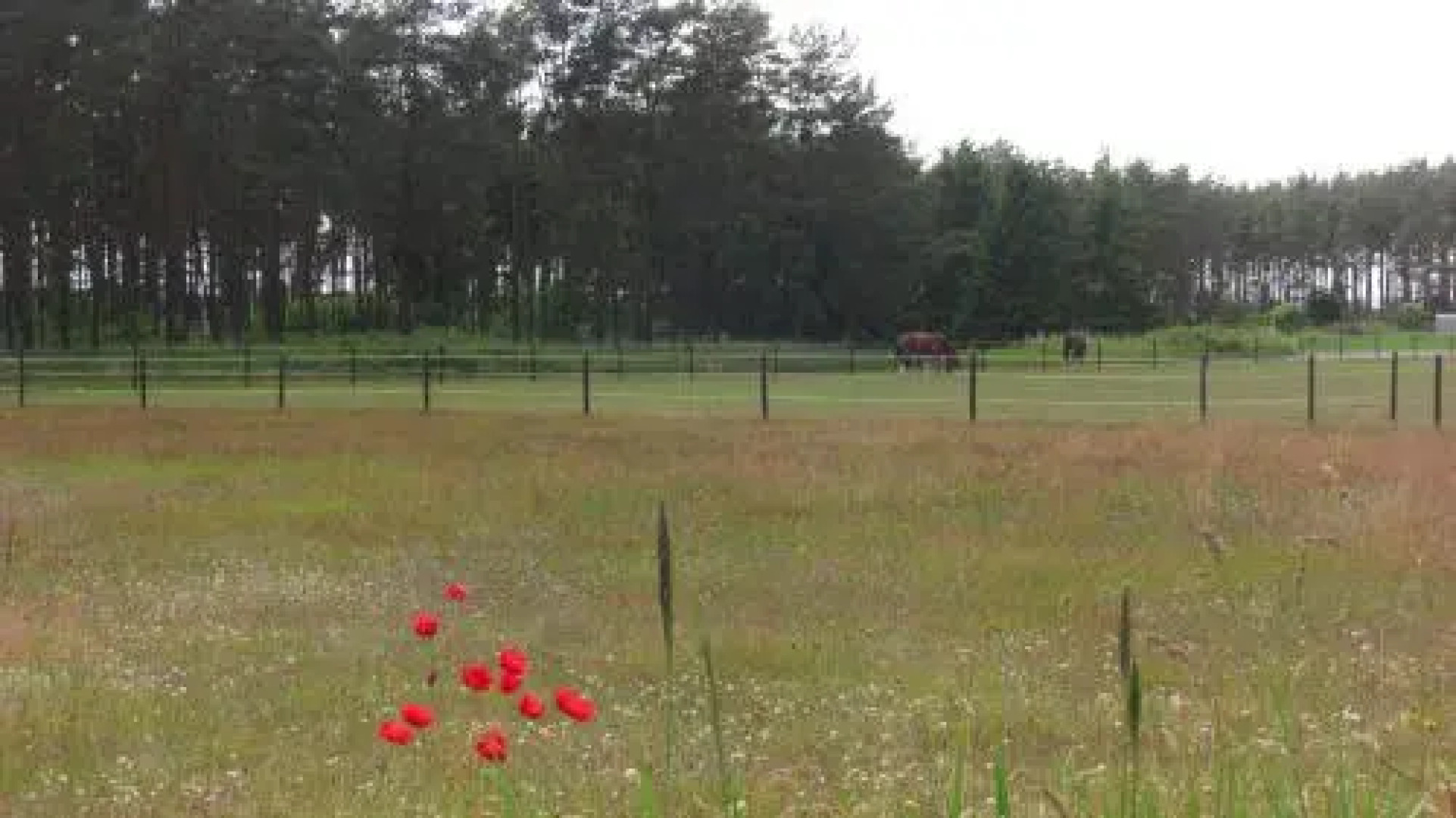 Ängshyddan Gårdshotell & B&B