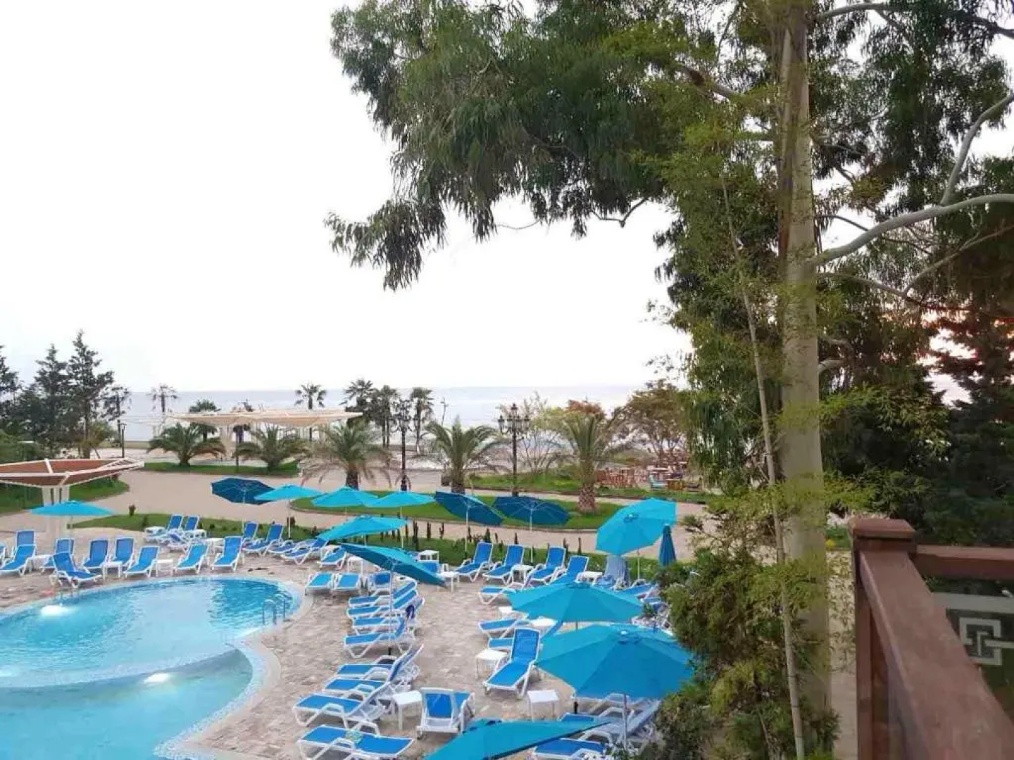 Dreamland oasis in Chakvi