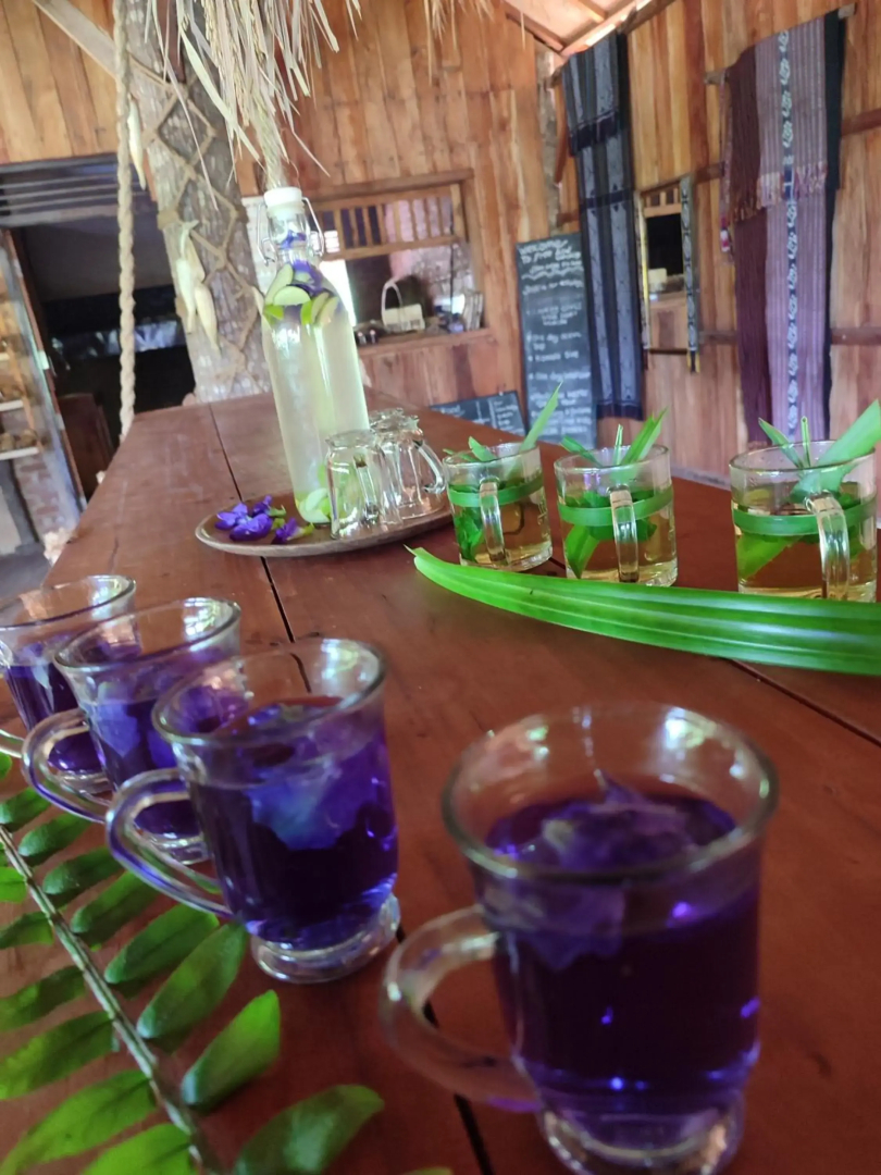 Sten Lodge eco Homestay
