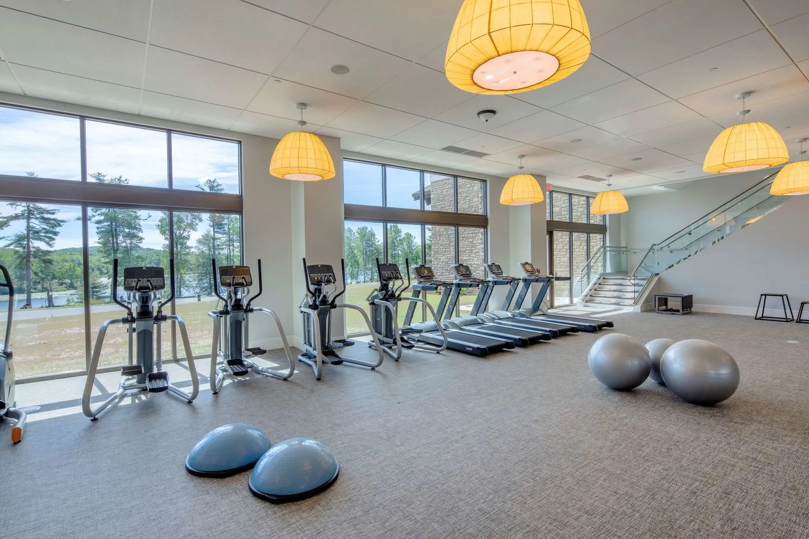 YO1 Longevity & Health Resorts, Catskills