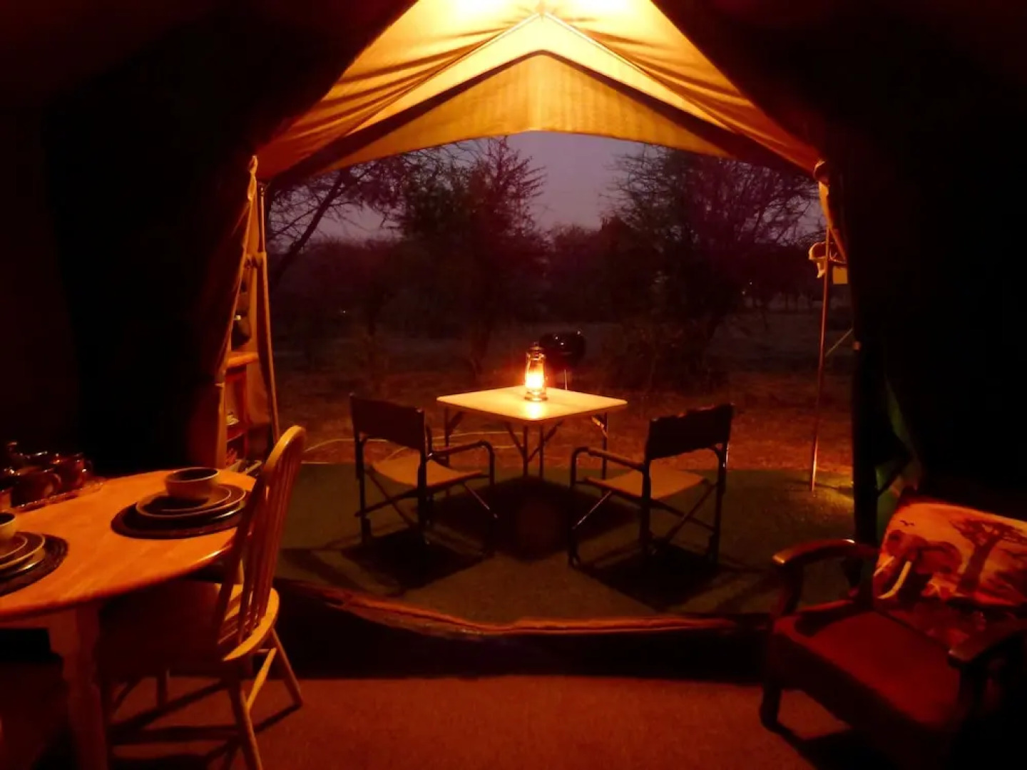 Thorn Tree Bush Camp