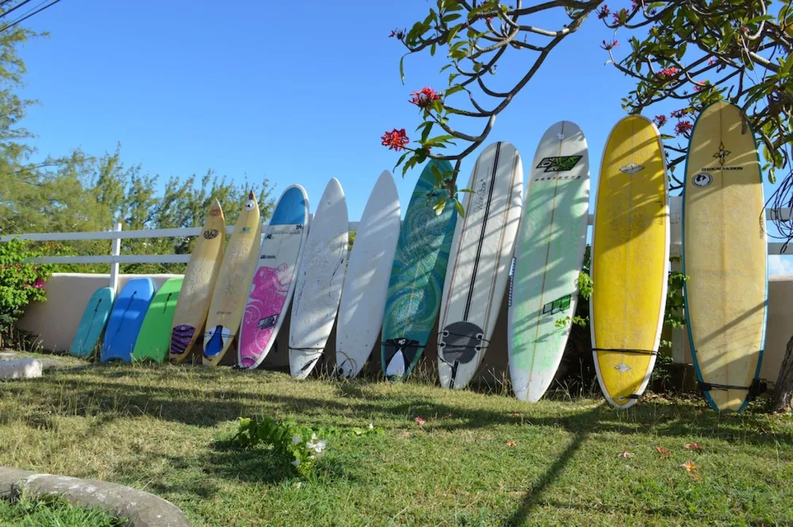 White Coconut Studio