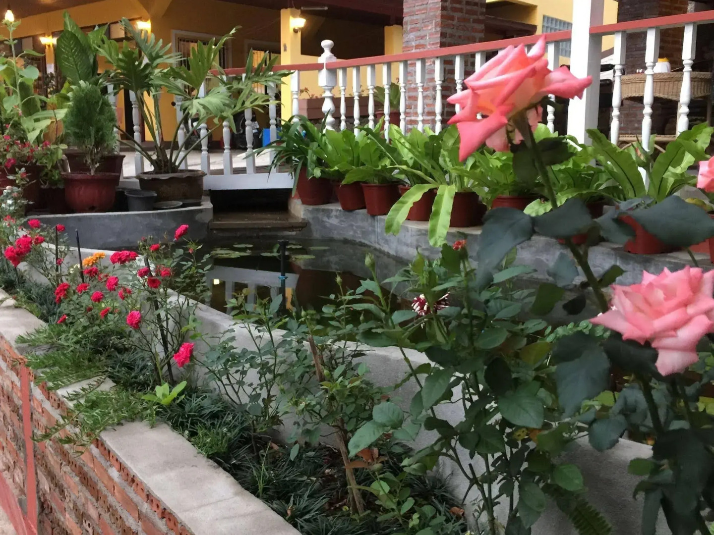 Shin Sane Guesthouse