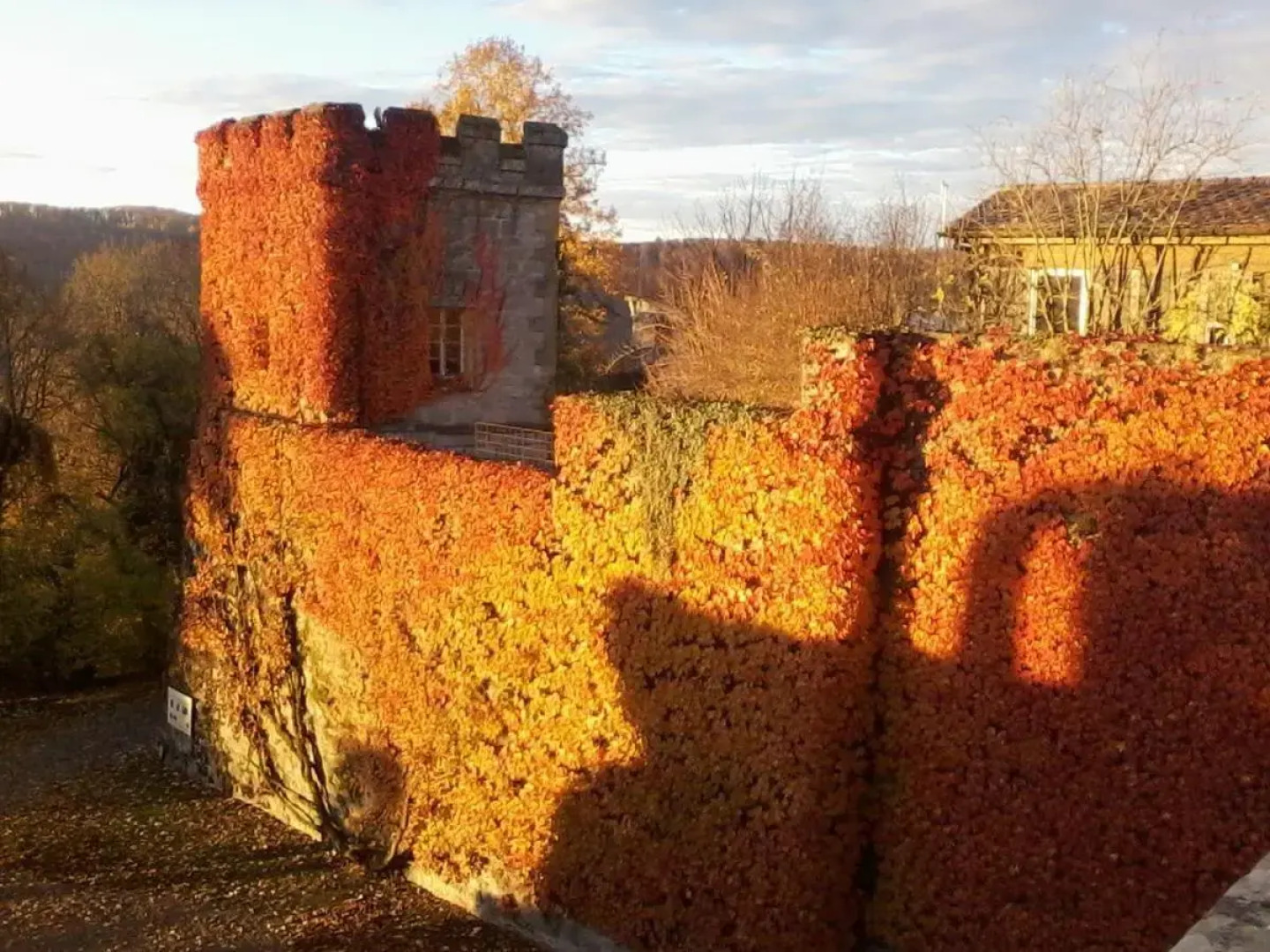 Apartment Lindenplatz