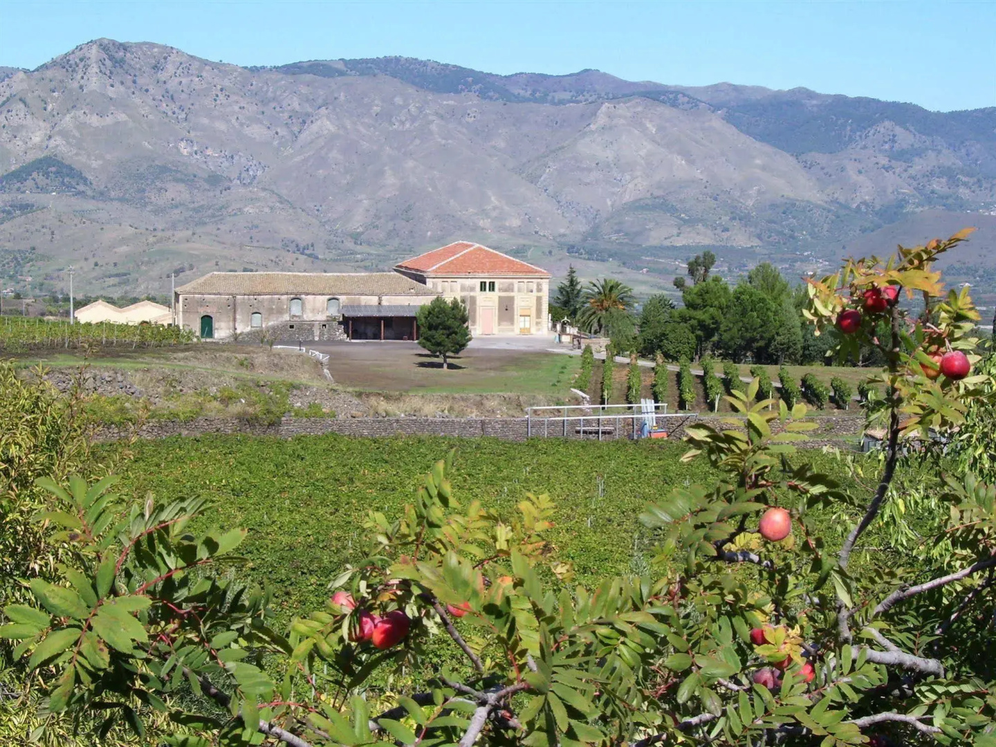 Etna Wine Azienda Agrituristica