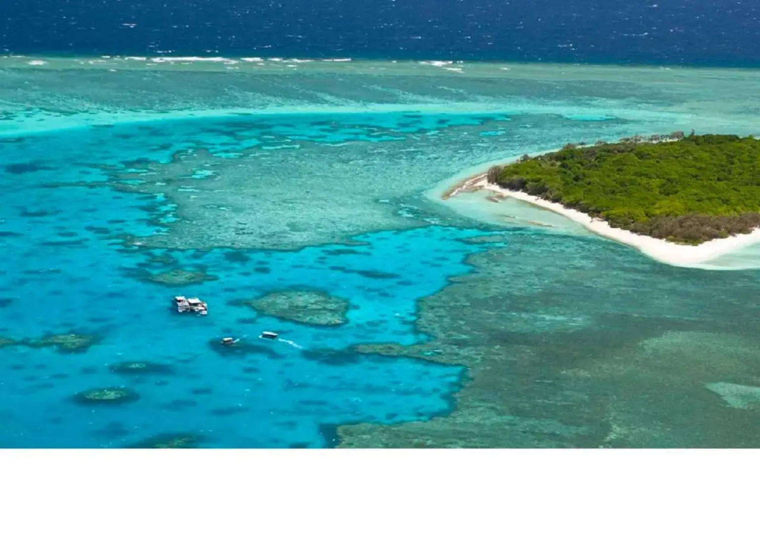 Reef Suite