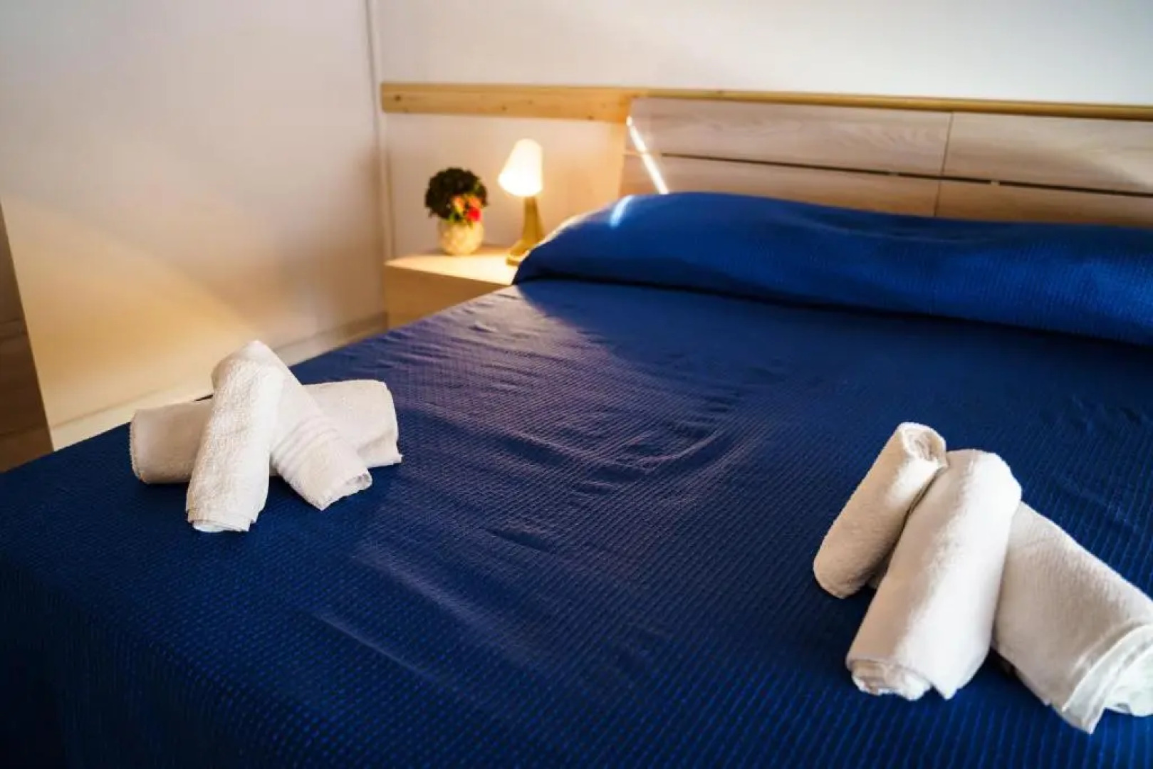 Sansi´s Sapri Camere