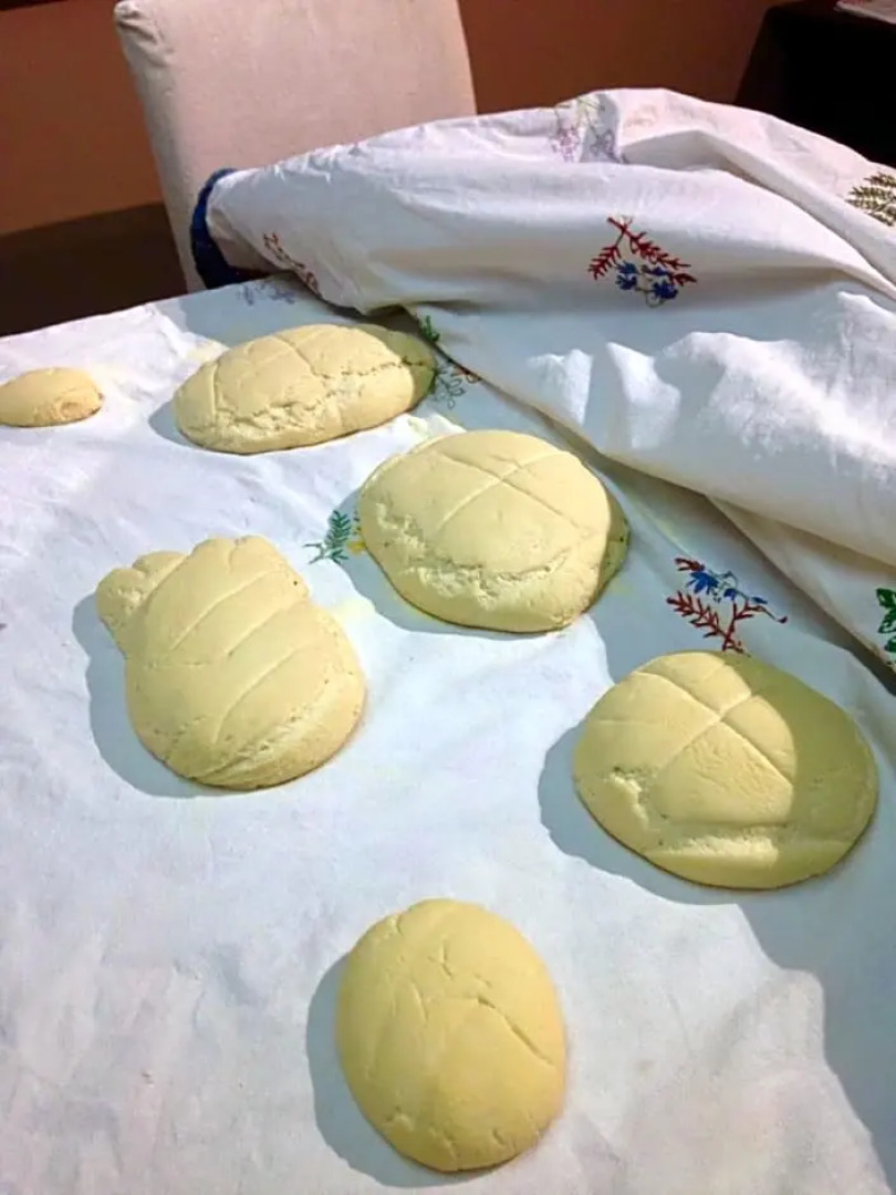 Bed & Breakfast StudioArcodia