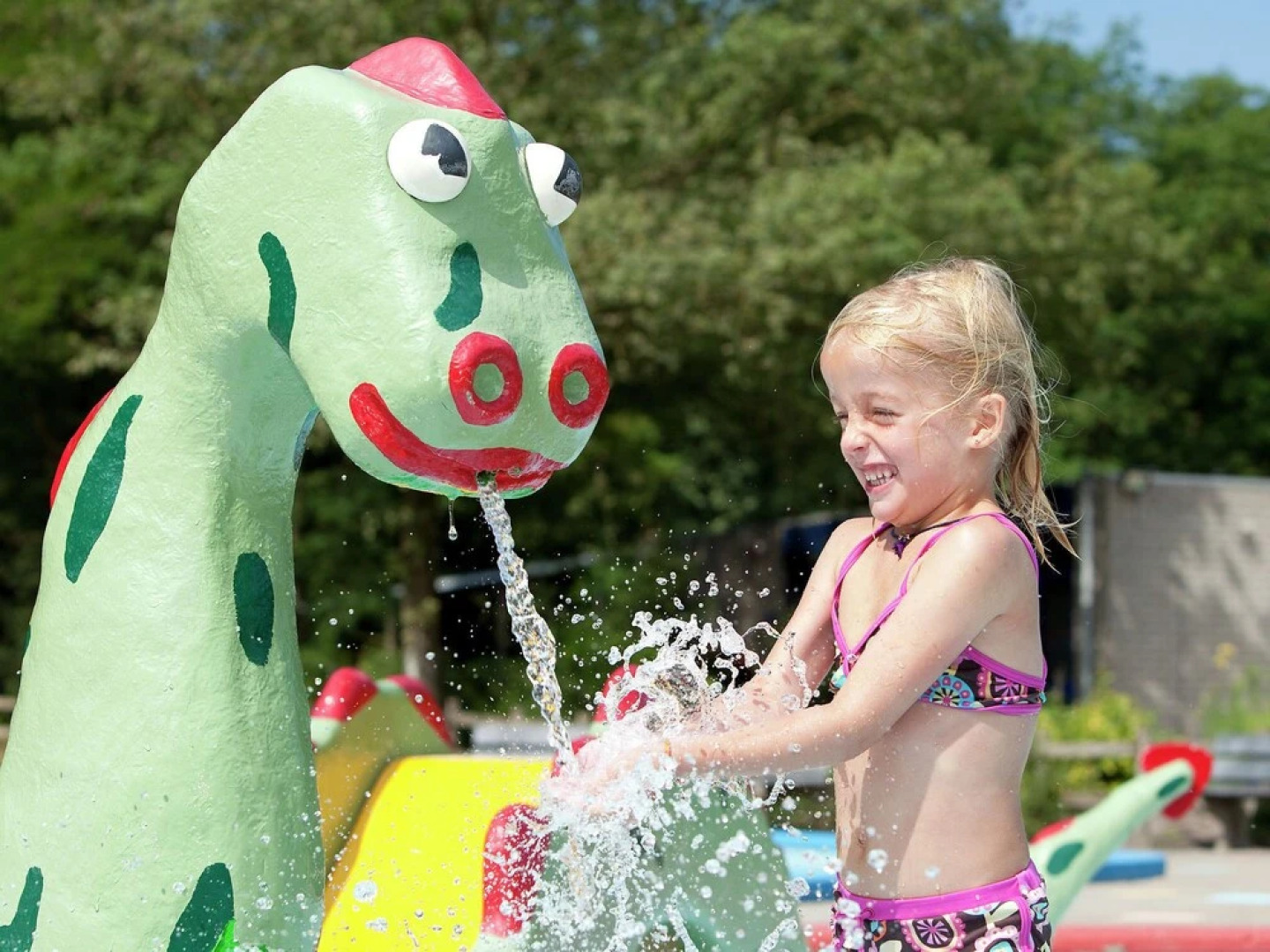 Stately, Luxury Villa With 3 Bathrooms, 2 km. From Appelscha