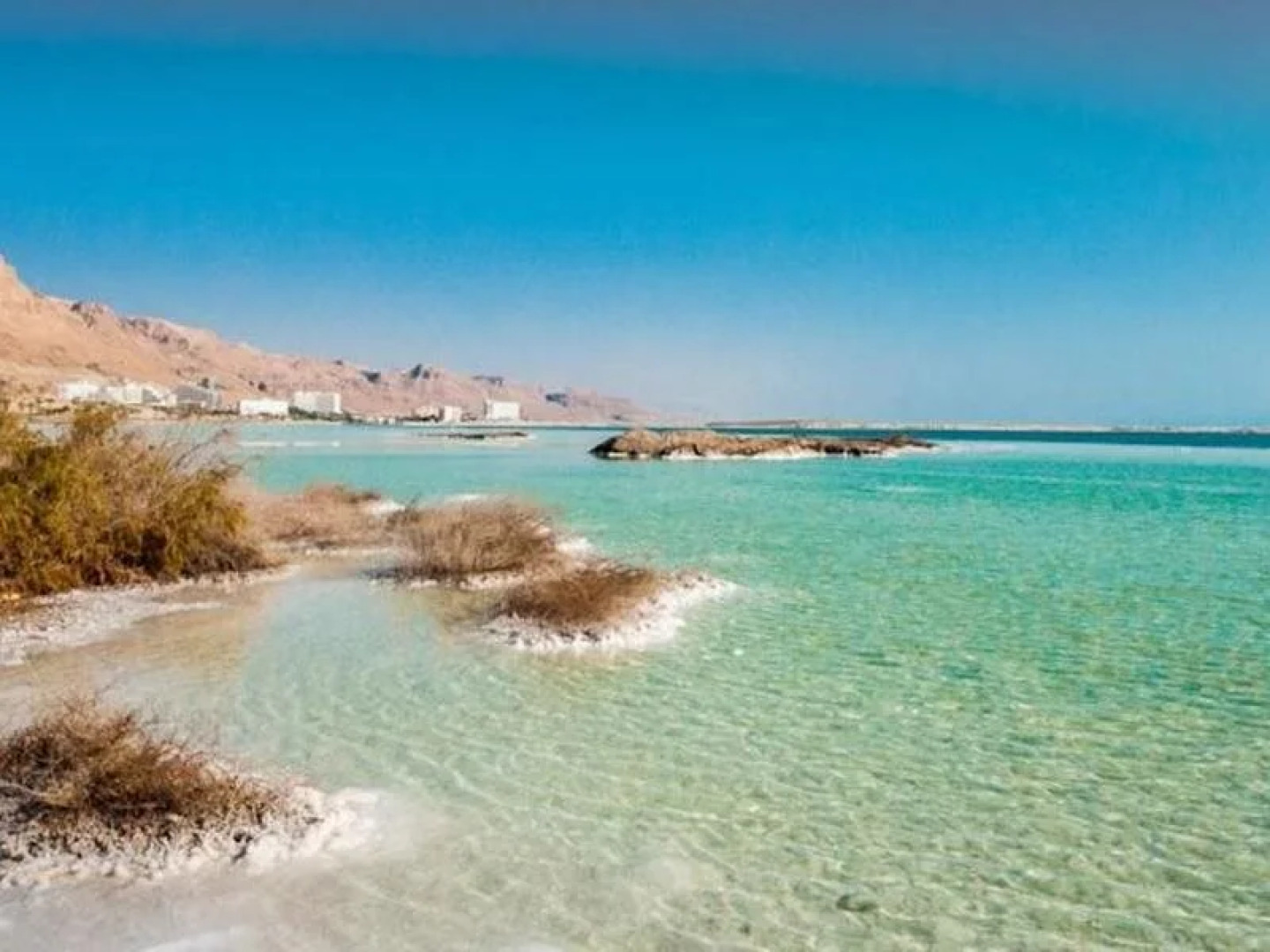 Zimmer Dora Dead Sea