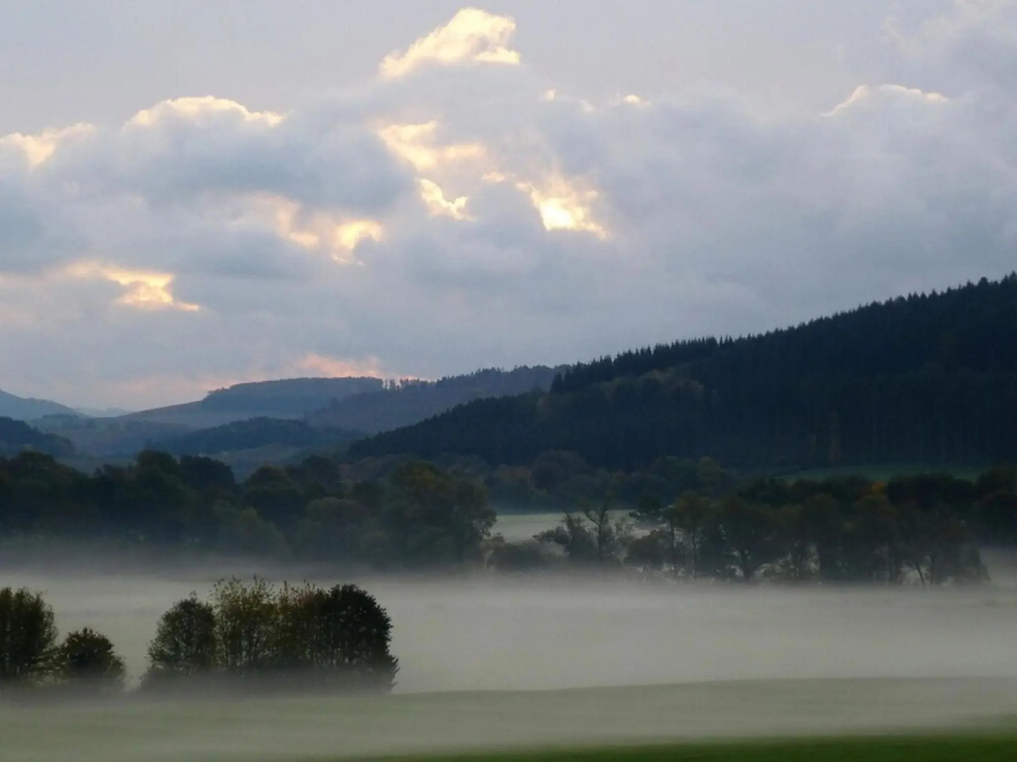 Graceful Holiday Home Near Ski Area in Schmallenberg Germany