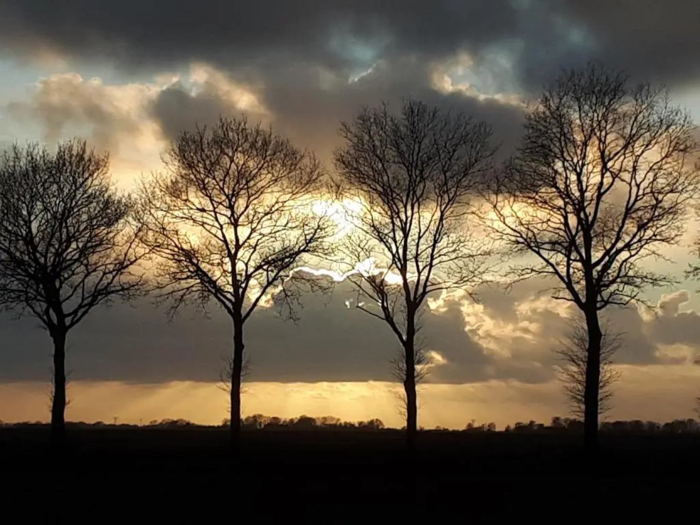 Pipo-wagen De Veenborgh