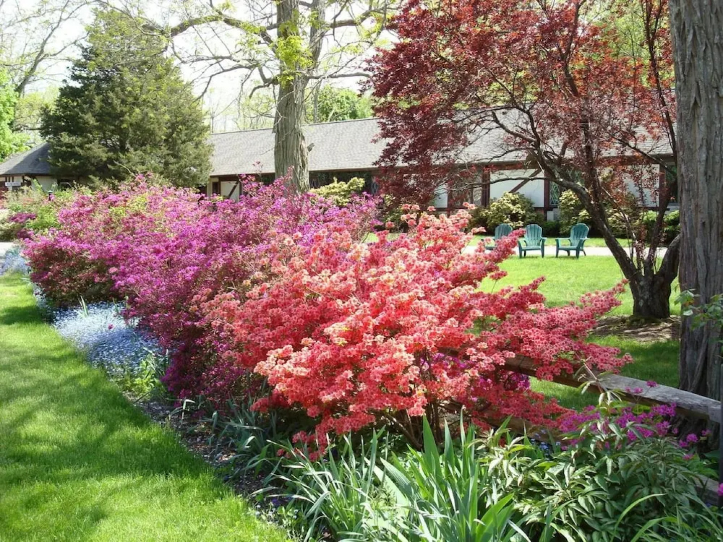 The Earl of Sandwich Motel