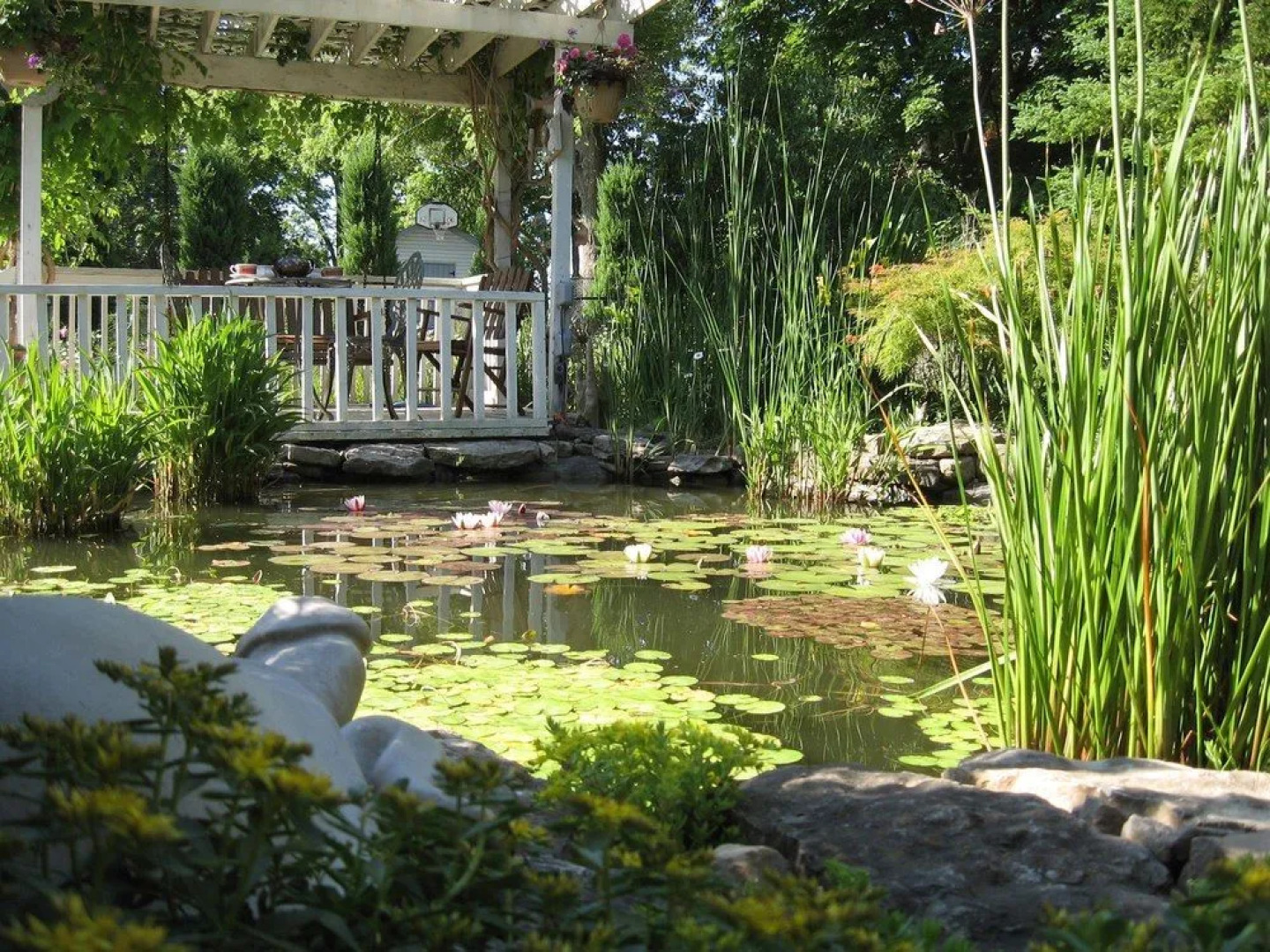 Carrousel Bed & Breakfast