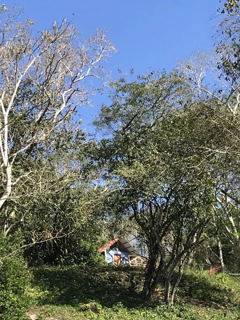 Mango Walk Inn