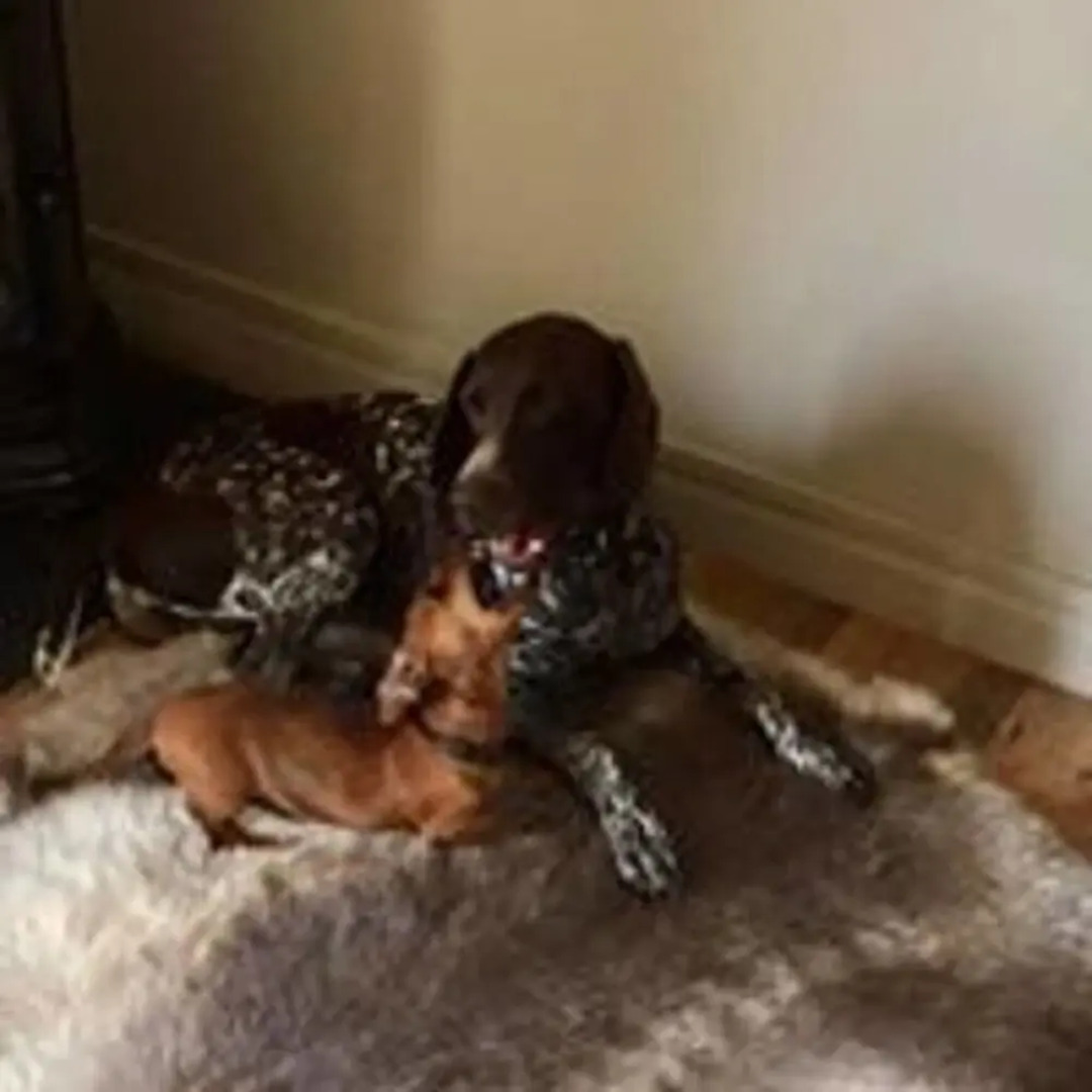 Woody's Cosy Winter Glamping