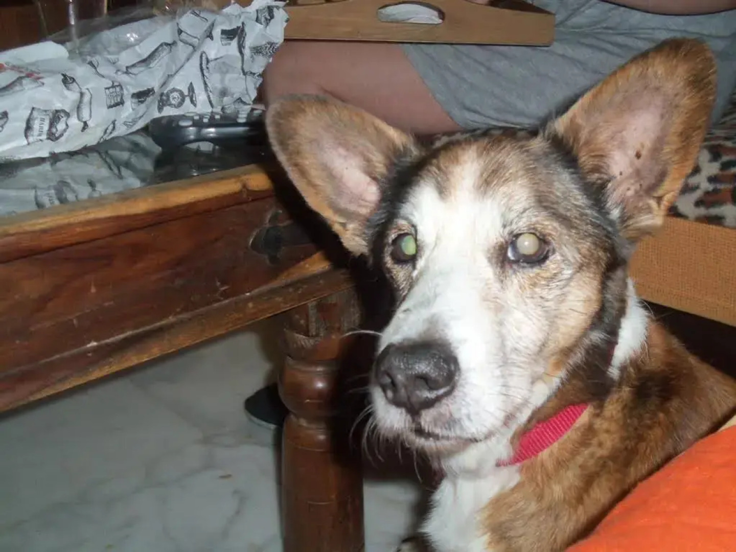 Apartamentos Rurales Jardines del Visir