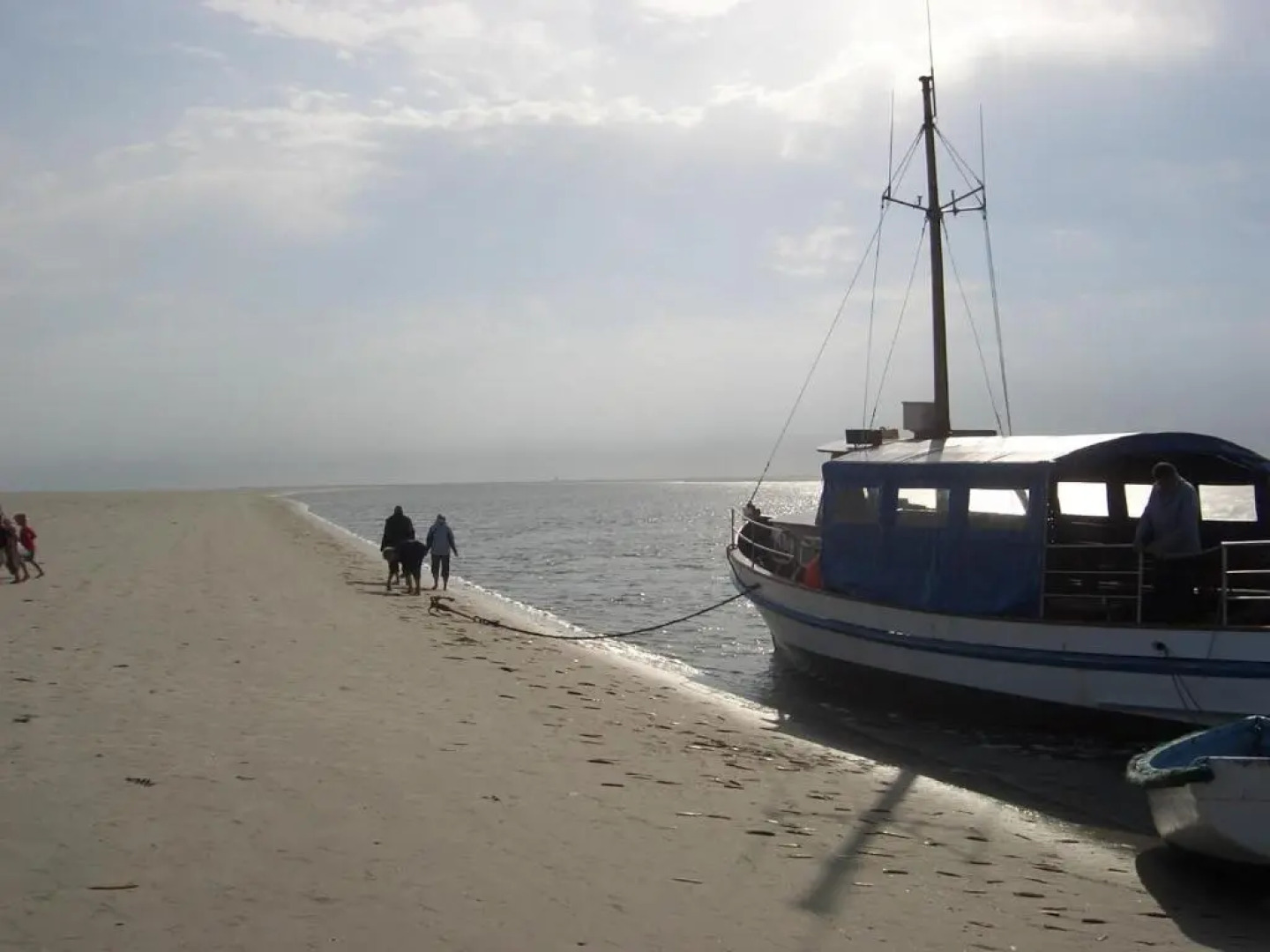 Schäferwagen Tiny House auf dem Friesenhof