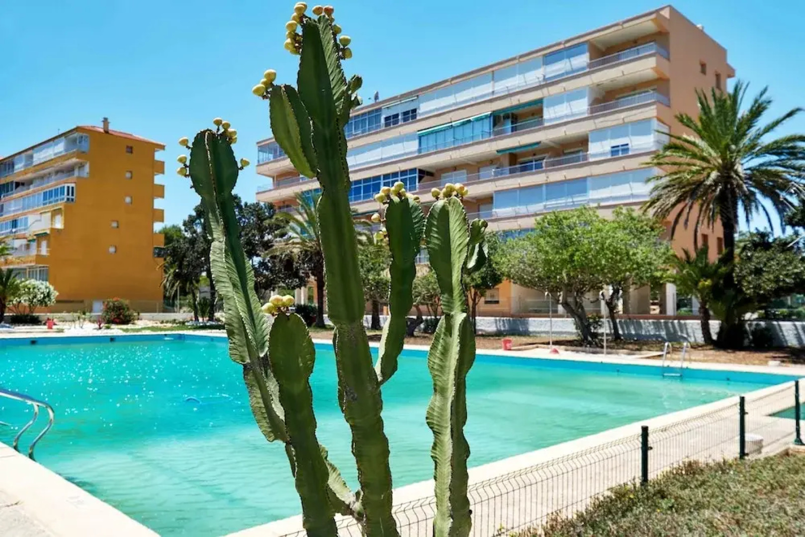 Espanhouse Pinomar 5