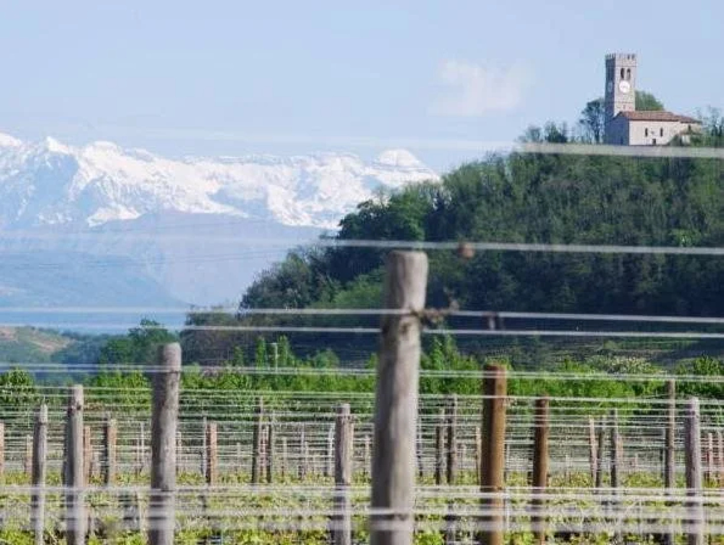 Agriturismo Domus Rustica