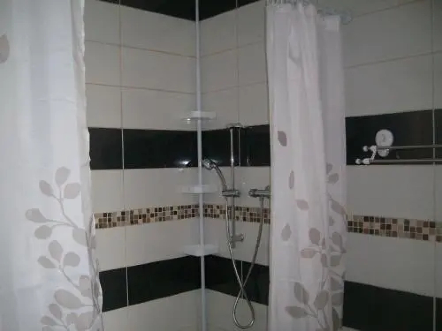 M. Clemenceau - Les Maisonnettes de la Maneliére