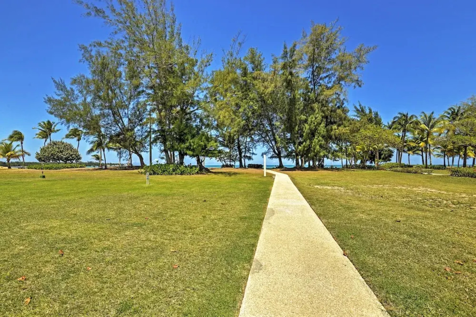 Rio Grande Resort Condo w/ Ocean Views & Patio!