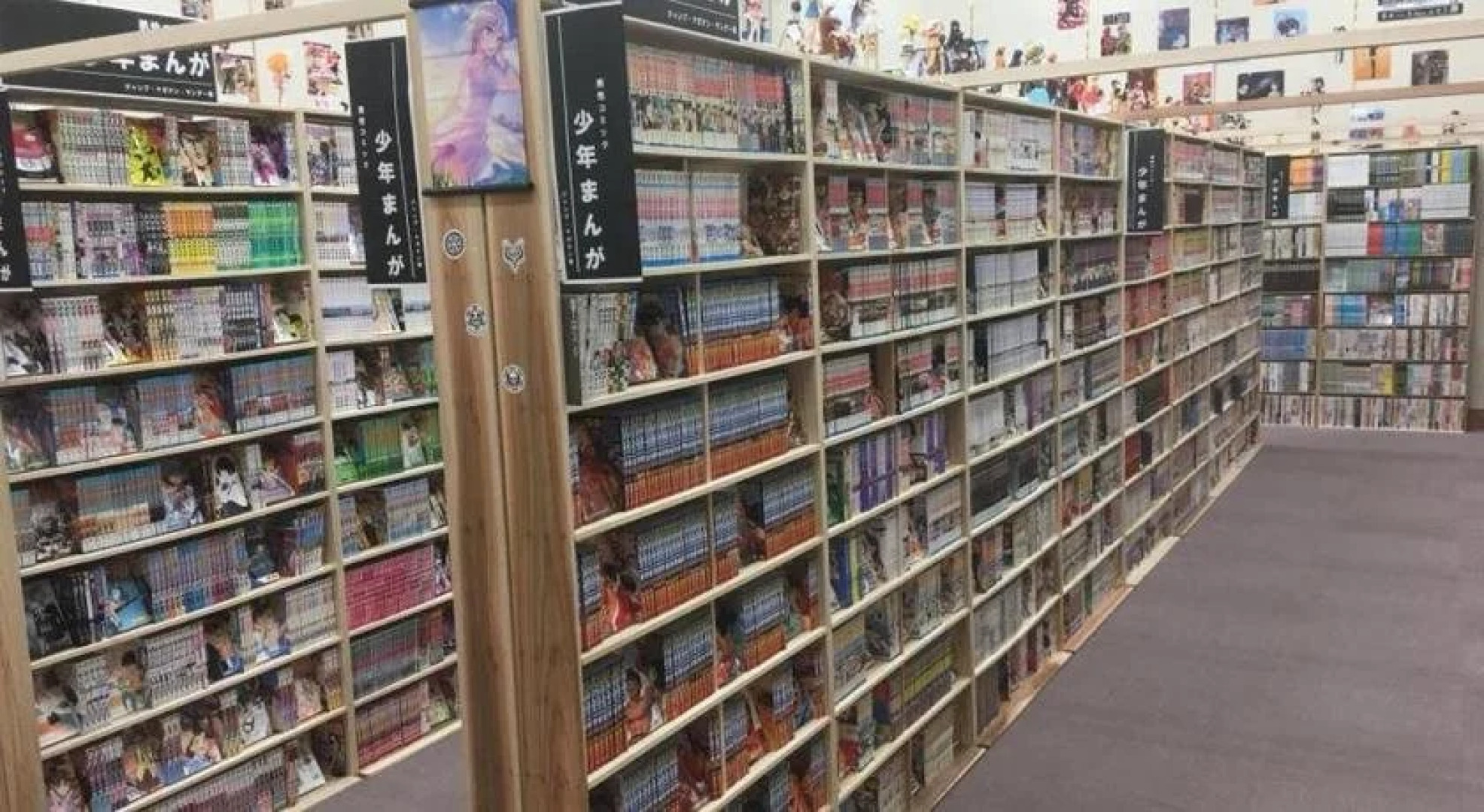 Green Squalle Sekigane