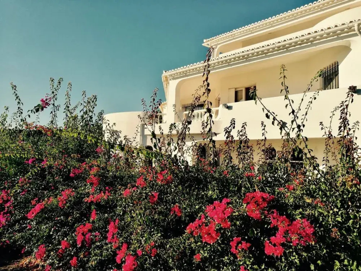 The White House - B&B in the Villa