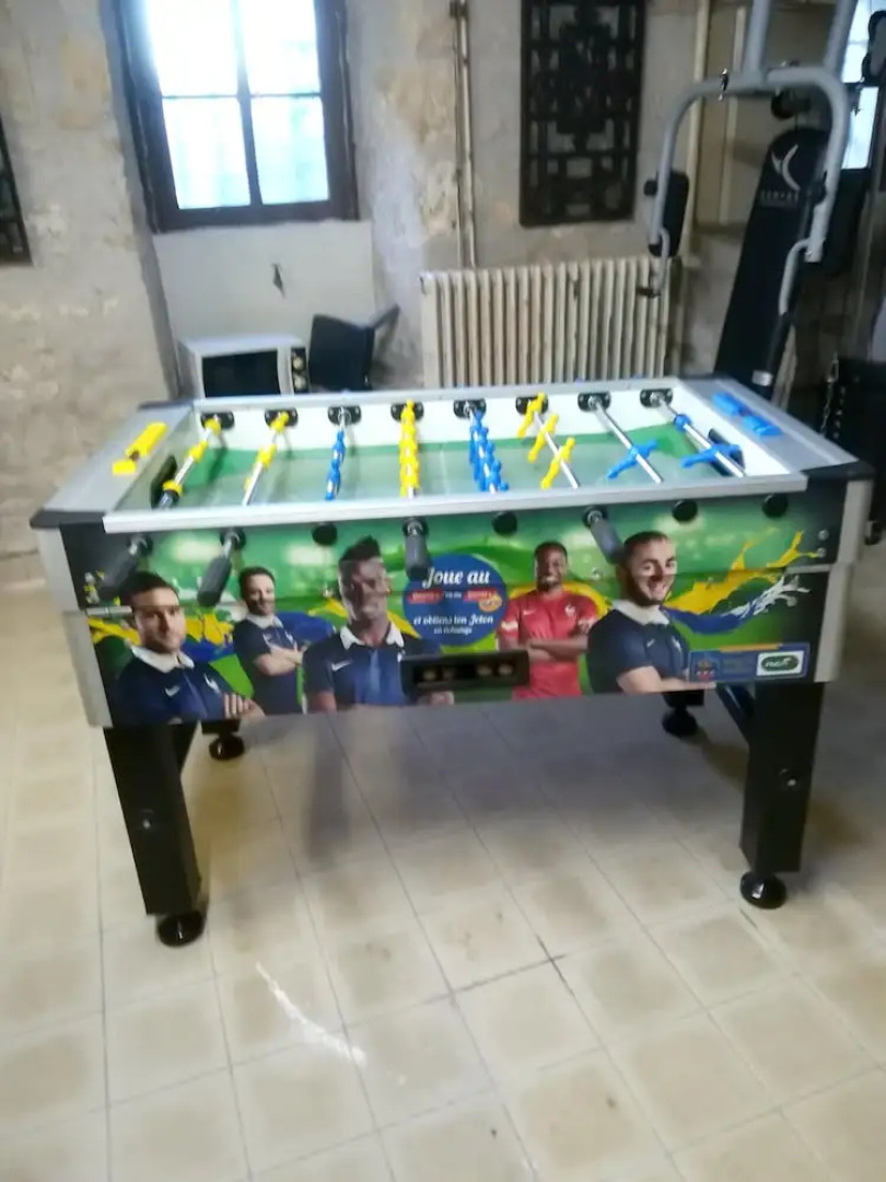 Mansion With 7 Bedrooms in Mosnay, With Enclosed Garden and Wifi