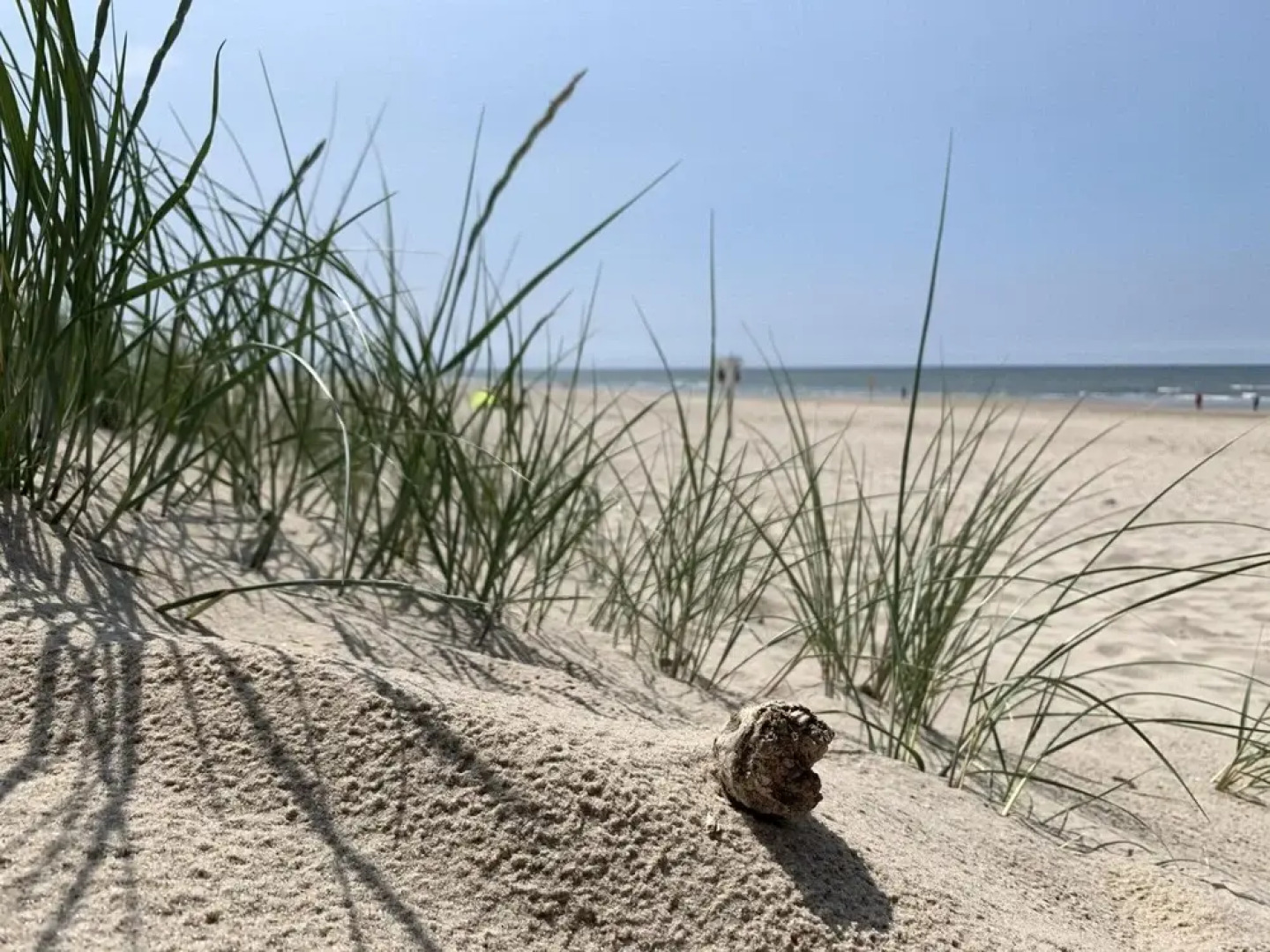 Bungalow in Sint Maartenszee Near Dune