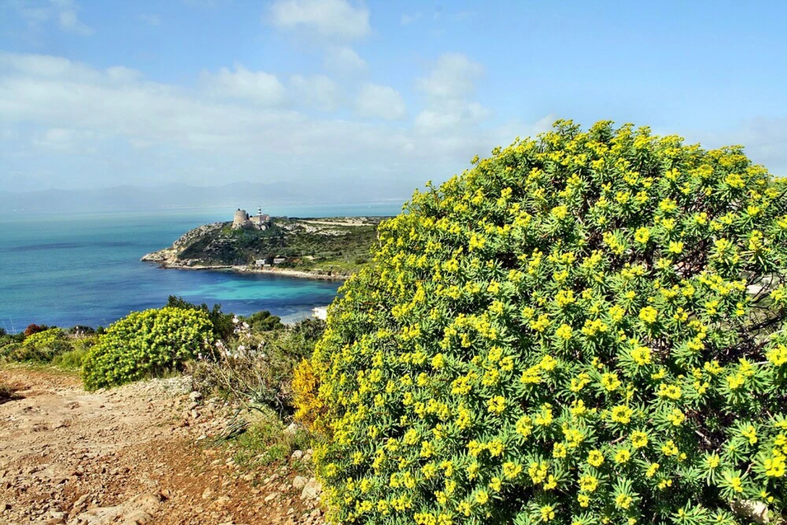 12 Ala Birdi Cottage 150m From The Beach