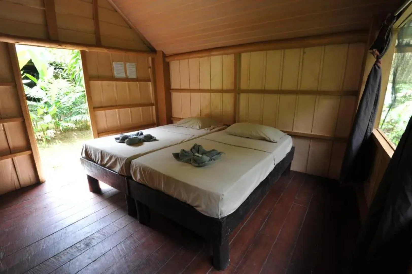 Estación Biológica Tamandua