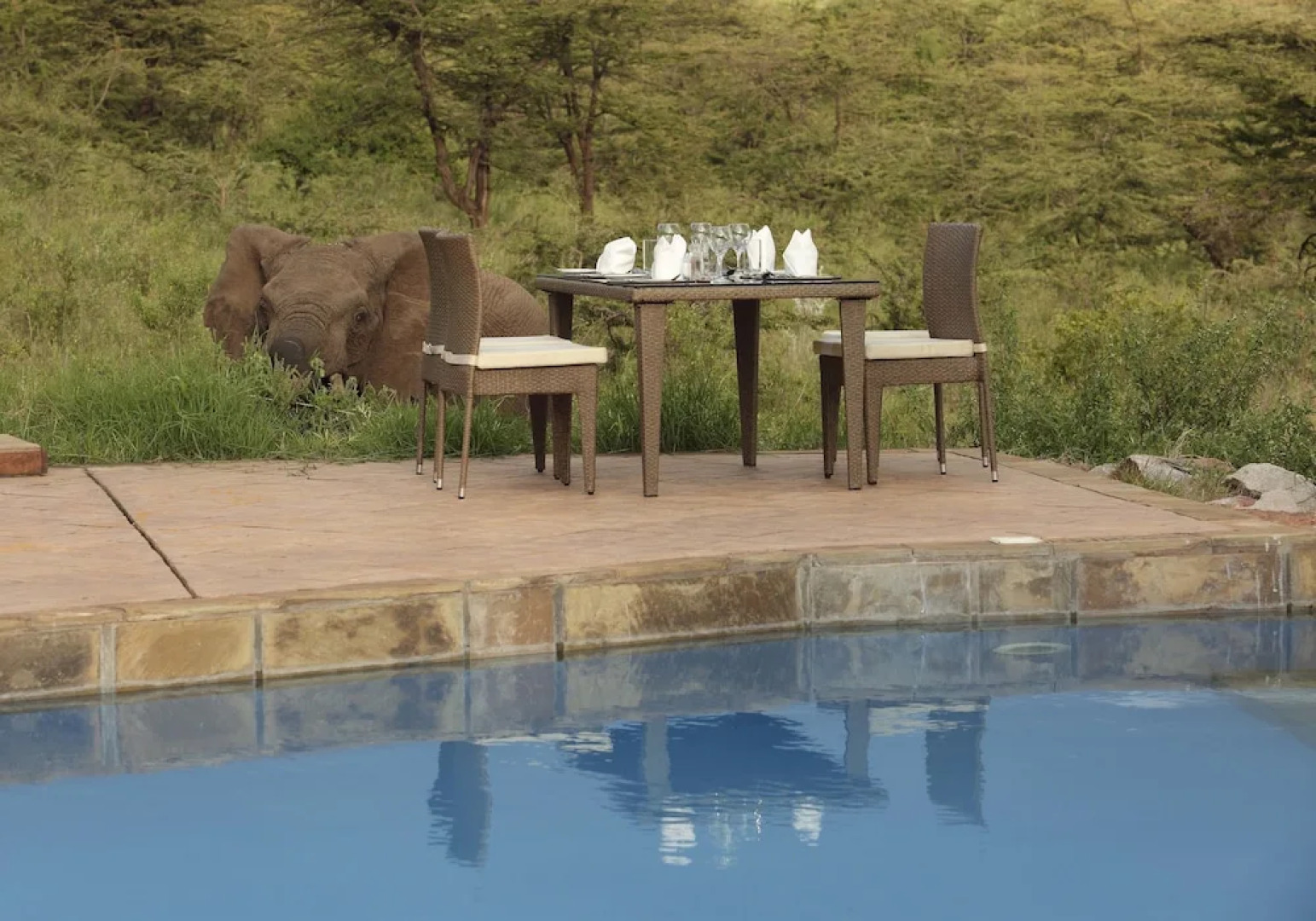 Spirit Of The Masai Mara