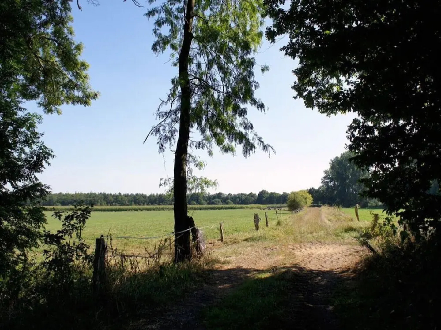 Appealing Apartment in Westerstede