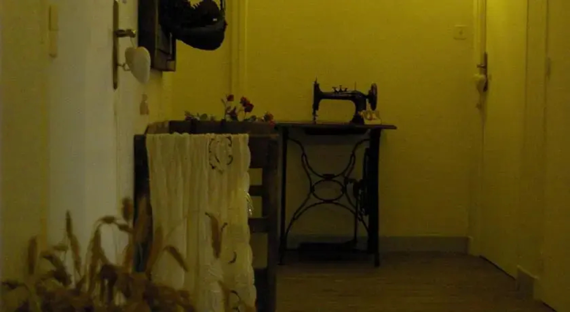 Les Dryades du Bois de Randan