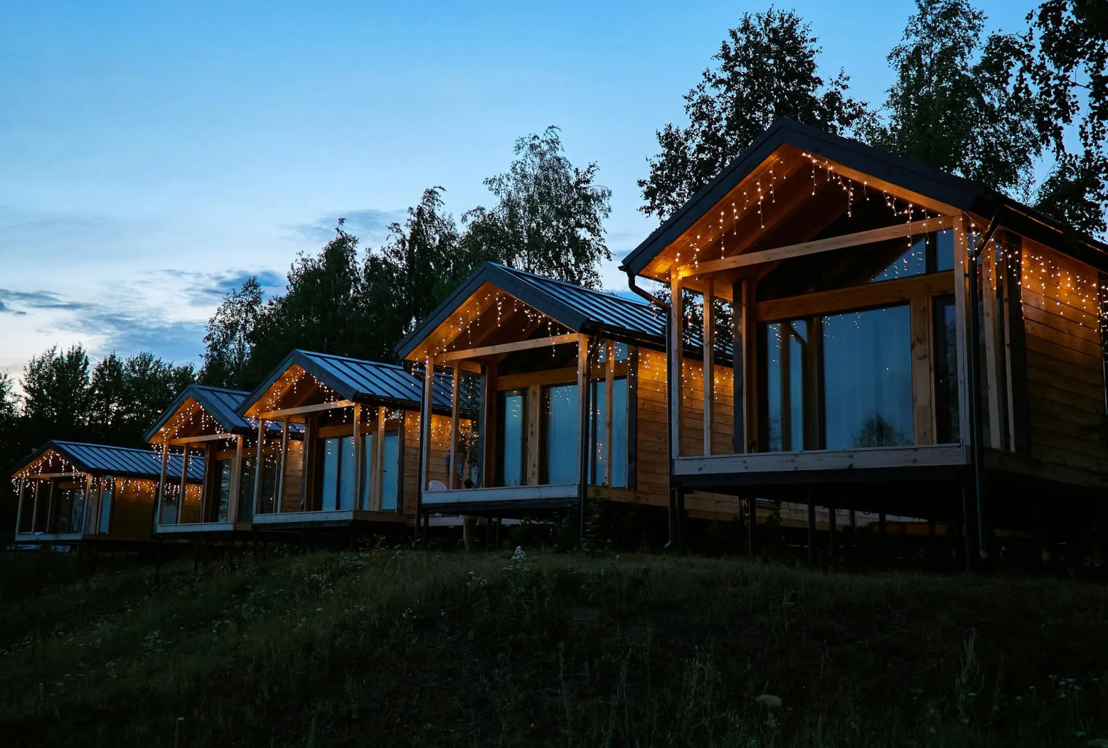 Бобры и Утки