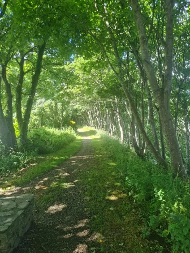 The Annexe at Tenniside • Private Garden • Hot Tub