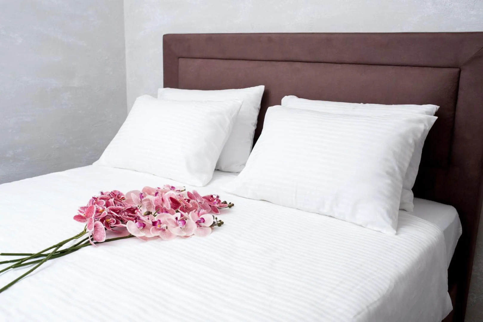 IPN APARTMENTs -MOTEL
