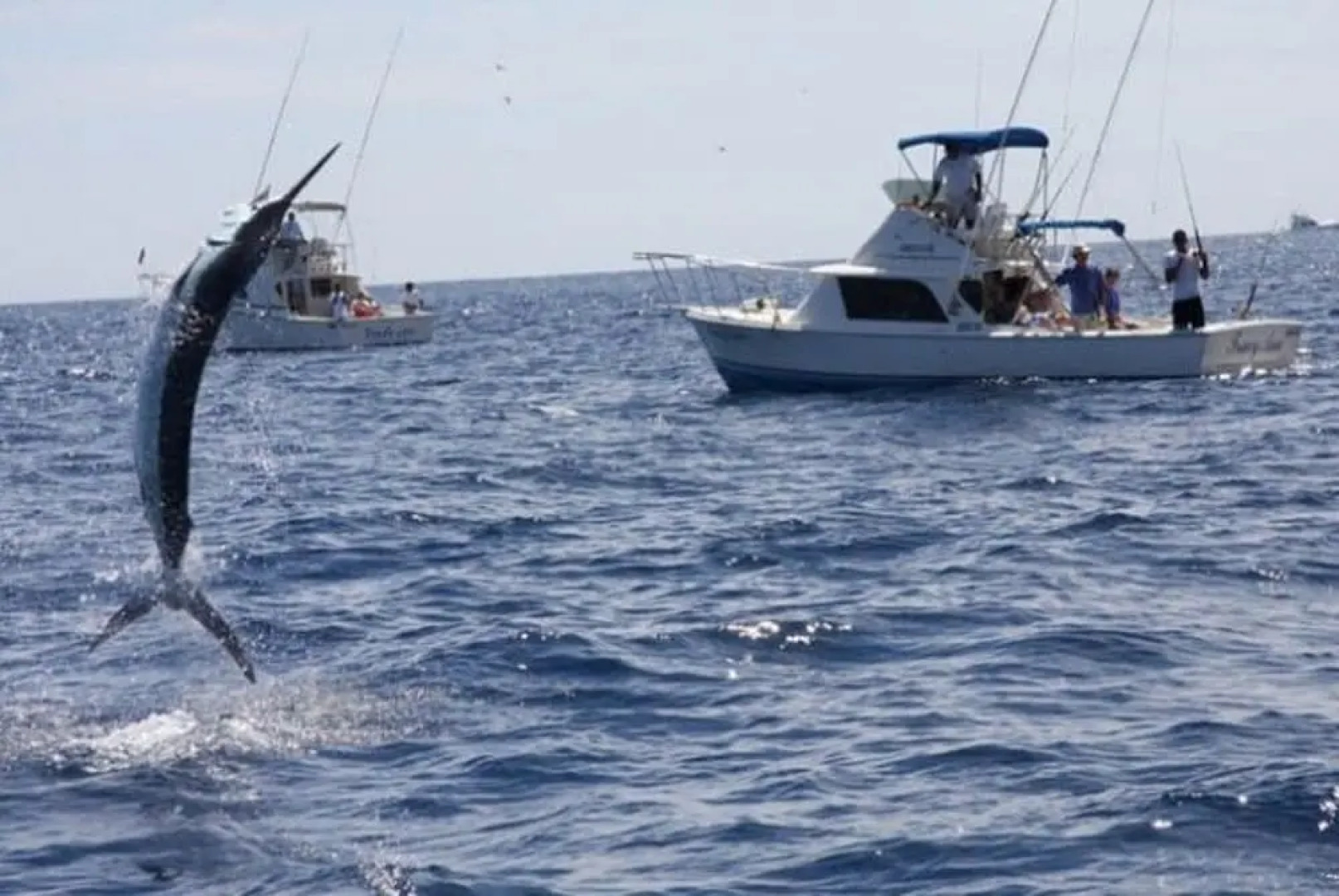 Condos at Singer Island Resort&Spa