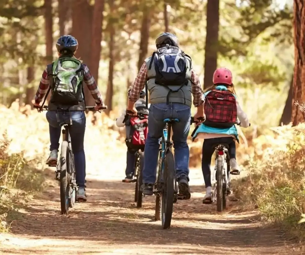 Chalets Royal Laurentien