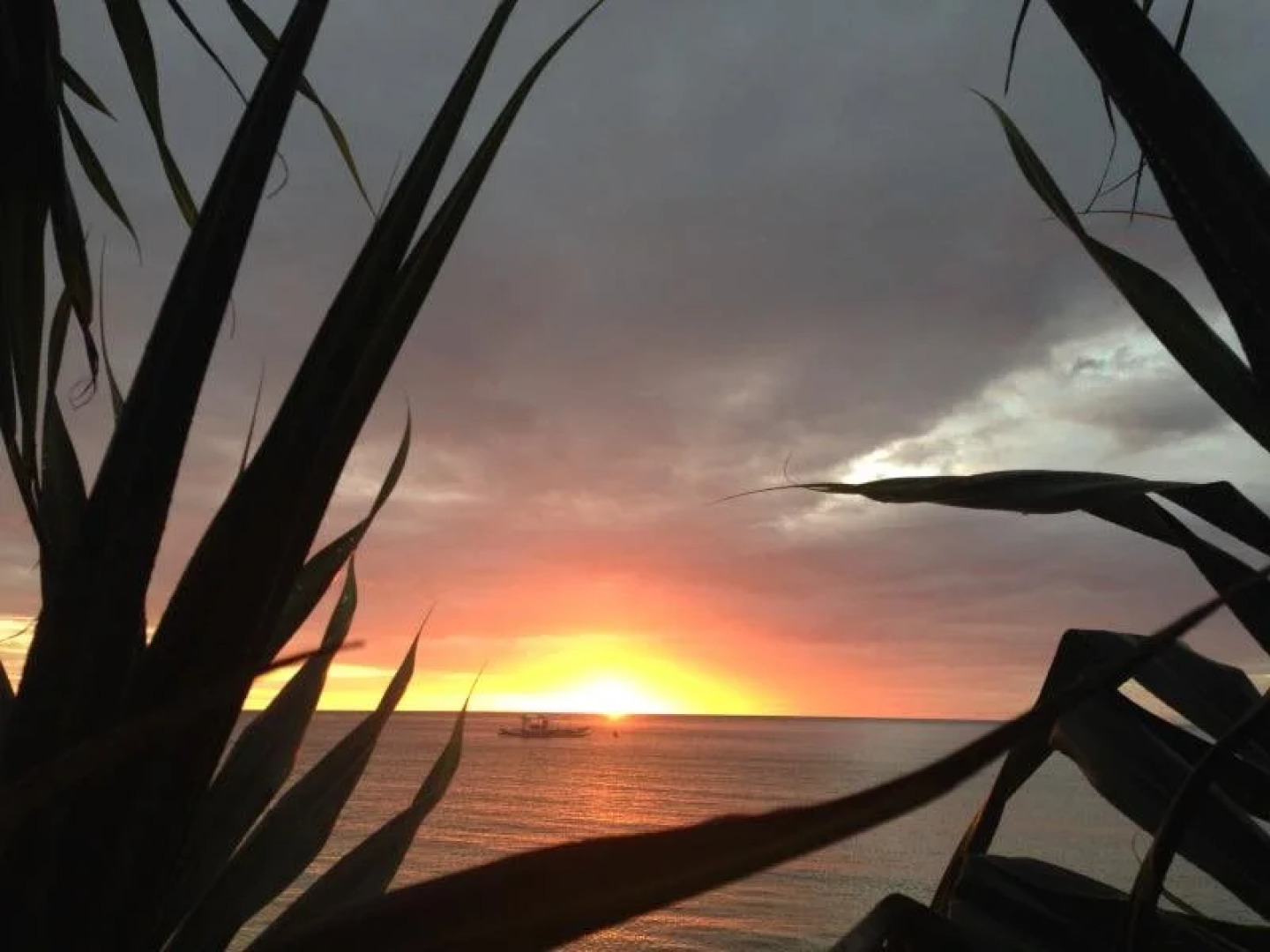 Buenavista Paradise Resort