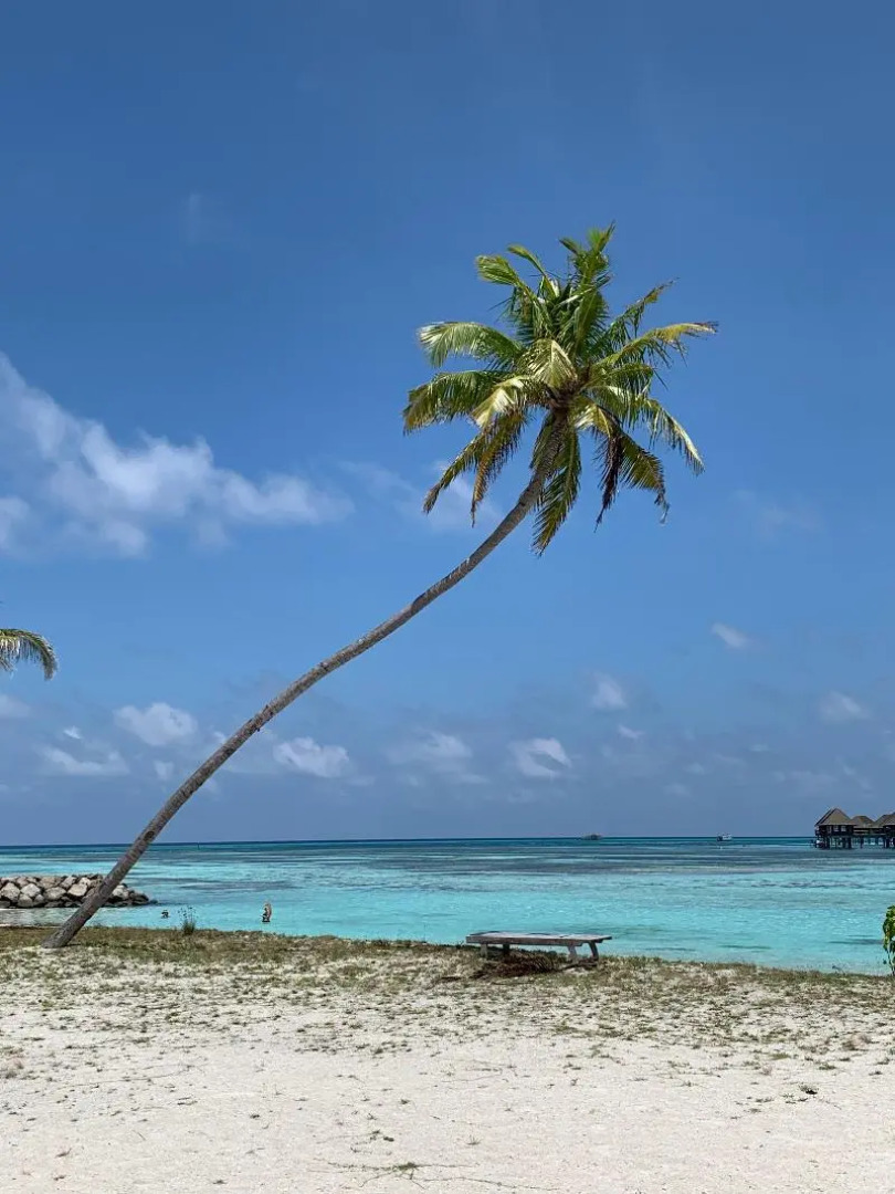 Гостевой дом Courtyard