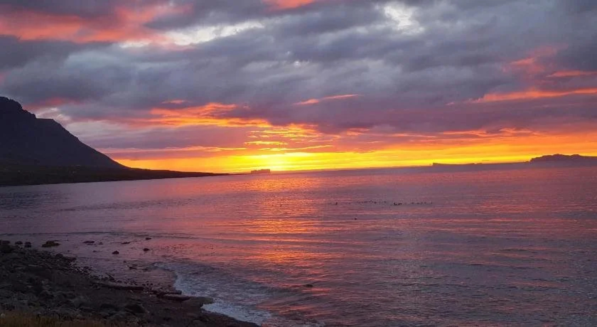 Puffin Palace Guesthouse